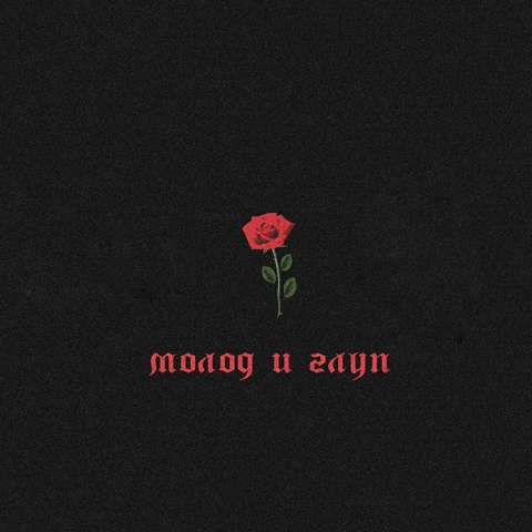 Сергей Волк