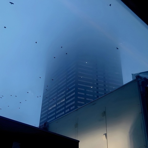 أنا حقا أحبك أنا حقا أحبك