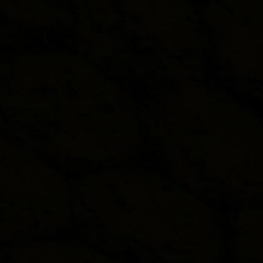 Илья Дмухайло