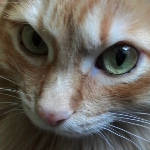 Виталик Игнатов