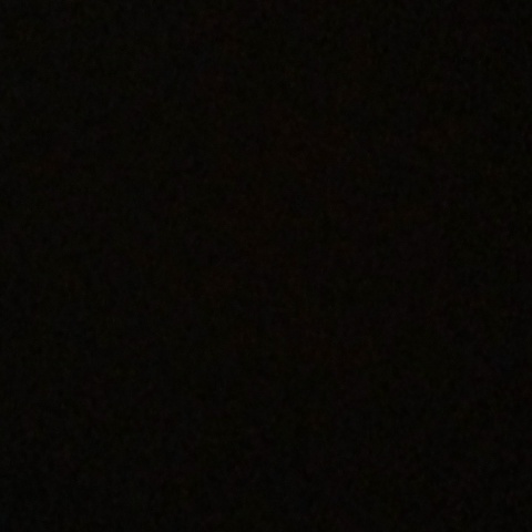 Максим Щелкун